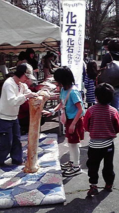 f:id:Naturalhistory:20120421161116j:image