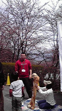 f:id:Naturalhistory:20120421161120j:image