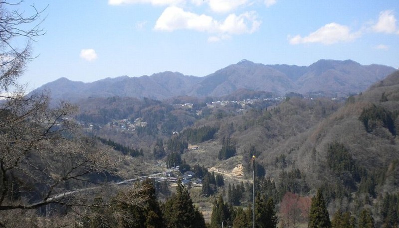 f:id:Naturalhistory:20120422170118j:image