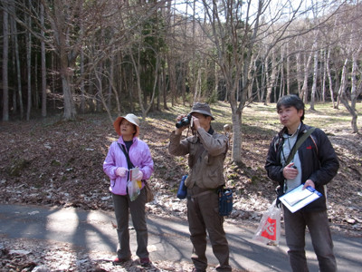 f:id:Naturalhistory:20120428144452j:image