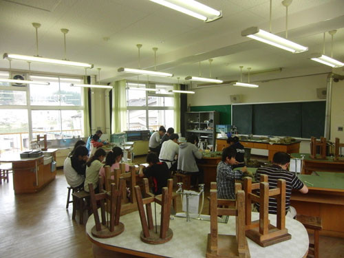 f:id:Naturalhistory:20120430135527j:image