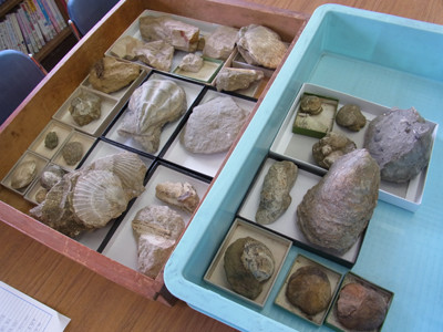 f:id:Naturalhistory:20120502130810j:image f:id:Naturalhistory:20120502130810j:image