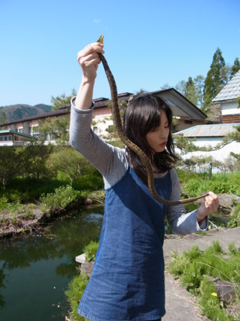 f:id:Naturalhistory:20120505085936j:image