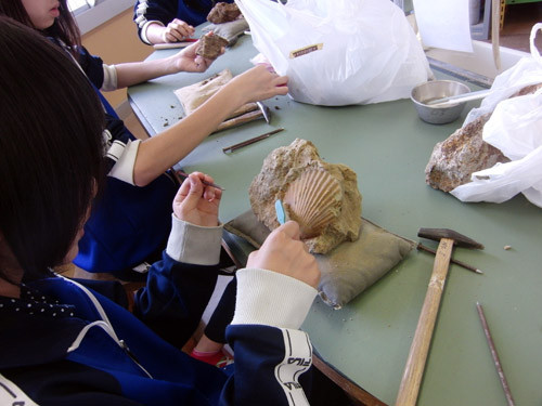 f:id:Naturalhistory:20120523131752j:image