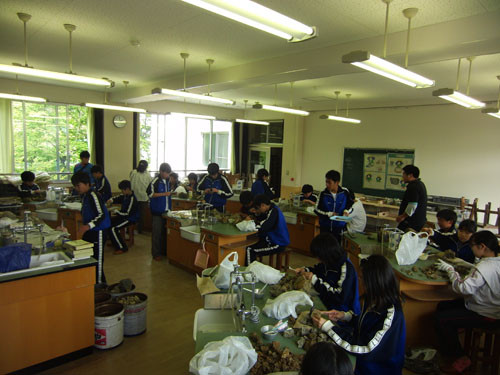 f:id:Naturalhistory:20120523140010j:image