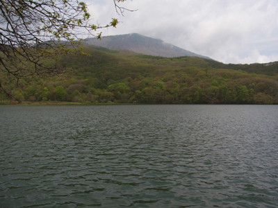 f:id:Naturalhistory:20120526102614j:image