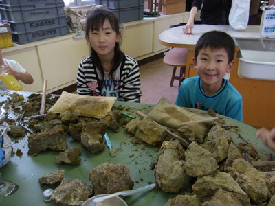 f:id:Naturalhistory:20120527142357j:image