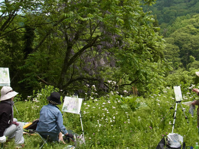 f:id:Naturalhistory:20120530115420j:image