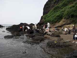 f:id:Naturalhistory:20120603125515j:image