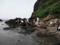 20120603125515