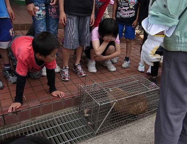 f:id:Naturalhistory:20120606183455j:image