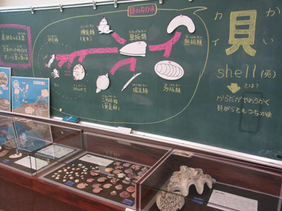 f:id:Naturalhistory:20120622135525j:image