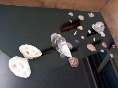 f:id:Naturalhistory:20120622135602j:image