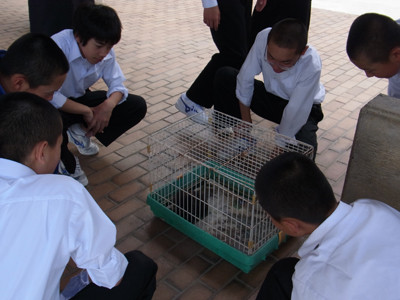 f:id:Naturalhistory:20120629130107j:image