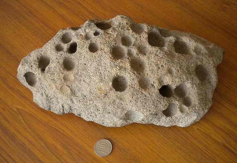f:id:Naturalhistory:20120630182956j:image