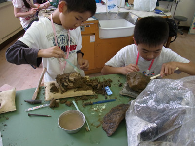 f:id:Naturalhistory:20120708132512j:image f:id:Naturalhistory:20120708132512j:image