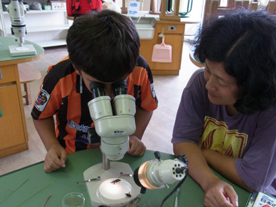 f:id:Naturalhistory:20120715133704j:image