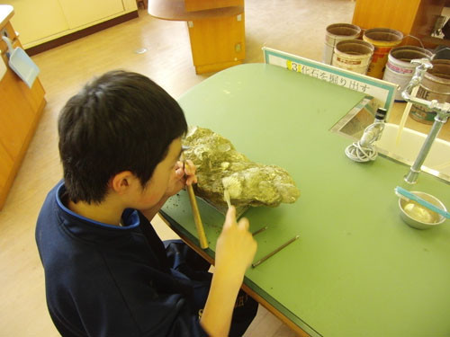 f:id:Naturalhistory:20120726122041j:image