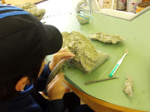 f:id:Naturalhistory:20120726123746j:image
