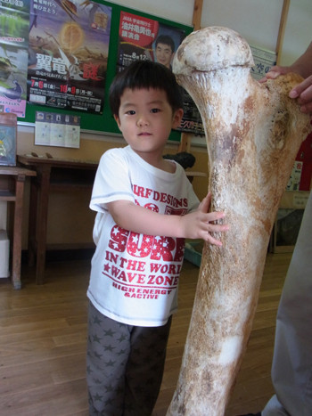 f:id:Naturalhistory:20120729132316j:image