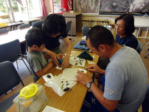 f:id:Naturalhistory:20120804132100j:image