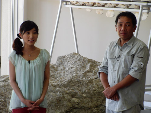 f:id:Naturalhistory:20120808132934j:image