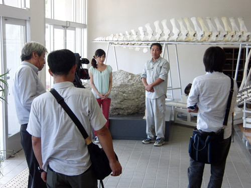 f:id:Naturalhistory:20120808132944j:image