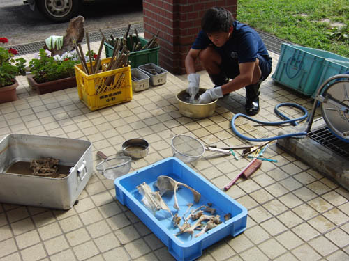 f:id:Naturalhistory:20120817144532j:image