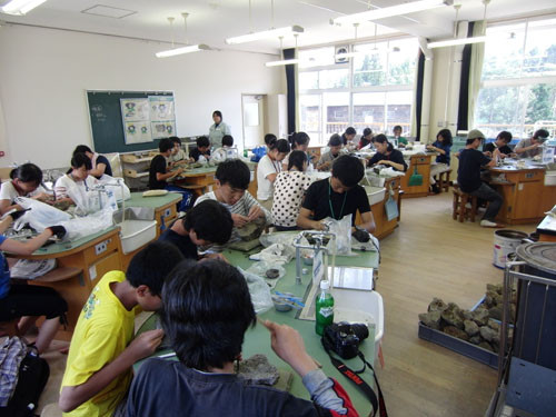 f:id:Naturalhistory:20120823142248j:image