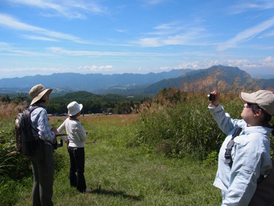 f:id:Naturalhistory:20120825101334j:image