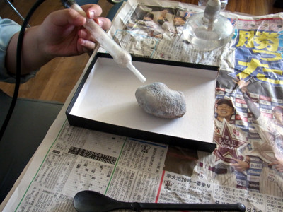 f:id:Naturalhistory:20120825145939j:image