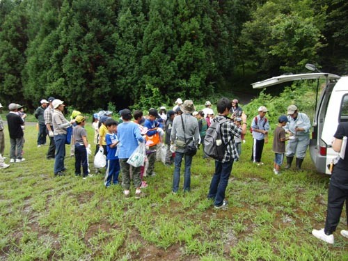 f:id:Naturalhistory:20120901111853j:image