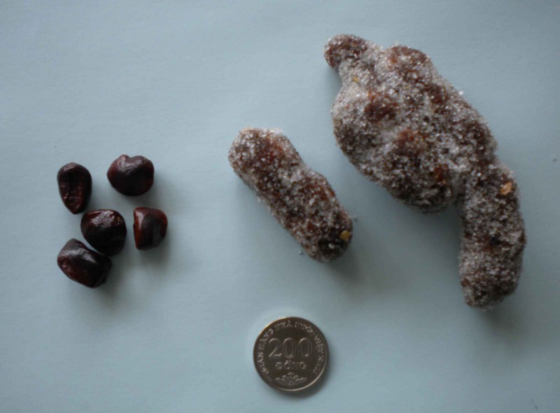 f:id:Naturalhistory:20120911131947j:image