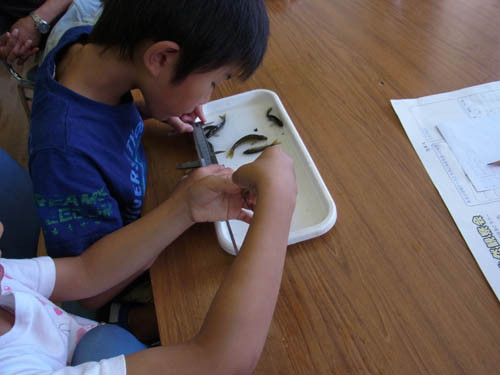 f:id:Naturalhistory:20120916133936j:image f:id:Naturalhistory:20120916133936j:image