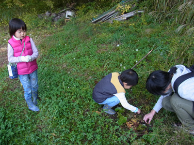 f:id:Naturalhistory:20121021112108j:image