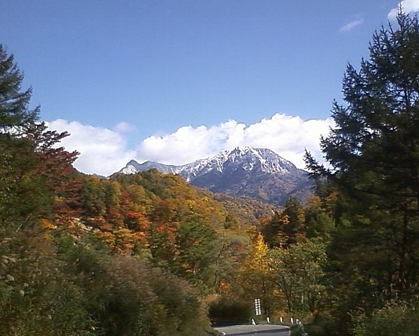 f:id:Naturalhistory:20121024171856j:image