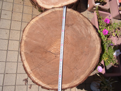 f:id:Naturalhistory:20121025101655j:image f:id:Naturalhistory:20121025101655j:image