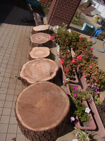 f:id:Naturalhistory:20121025101720j:image f:id:Naturalhistory:20121025101720j:image