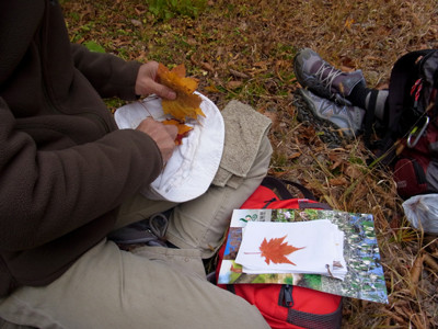 f:id:Naturalhistory:20121027130047j:image