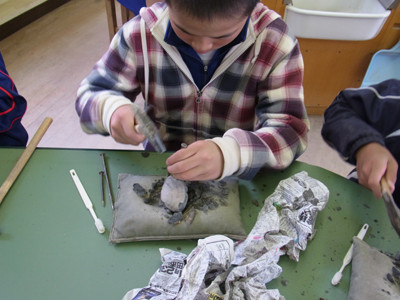 f:id:Naturalhistory:20121106132337j:image