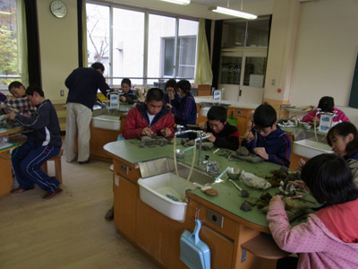 f:id:Naturalhistory:20121106134443j:image
