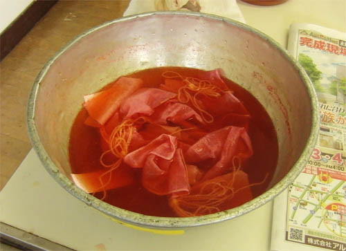f:id:Naturalhistory:20121110161812j:image