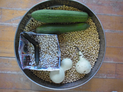 f:id:Naturalhistory:20121113161826j:image