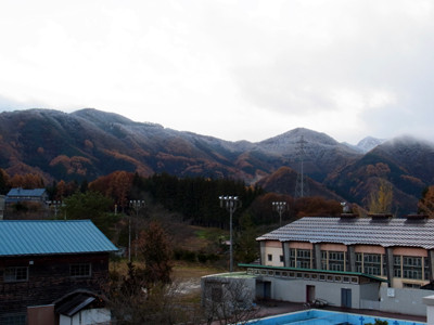 f:id:Naturalhistory:20121114155701j:image