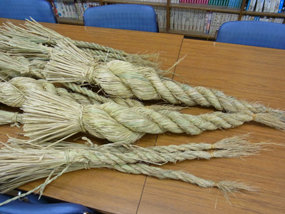 f:id:Naturalhistory:20121114171910j:image
