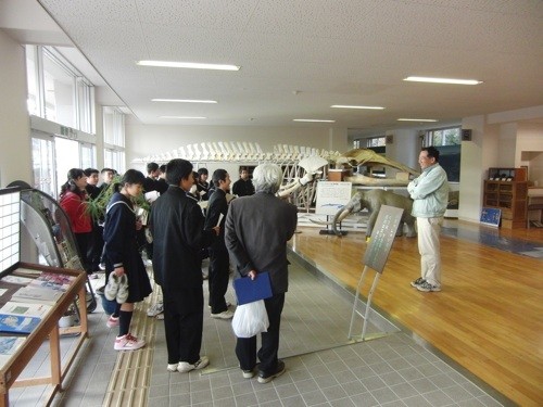 f:id:Naturalhistory:20121123013530j:image f:id:Naturalhistory:20121123013530j:image