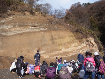 f:id:Naturalhistory:20121127111836j:image