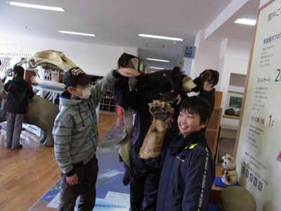 f:id:Naturalhistory:20121127140722j:image