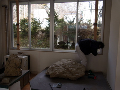 f:id:Naturalhistory:20121205100815j:image