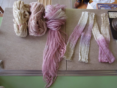f:id:Naturalhistory:20121208131009j:image